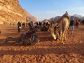 Wadi Rum, Escursione nel deserto