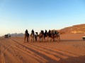 Wadi Rum, Escursione nel deserto