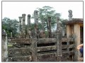 Polonnaruwa - Sri Lanka
