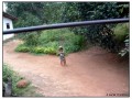 Habarana - Sri Lanka