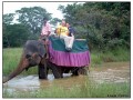 Habarana - Sri Lanka