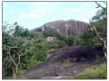 Dambulla - Sri Lanka