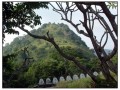 Dambulla - Sri Lanka
