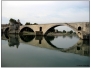 Avignon
