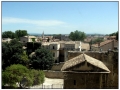 Avignon