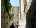 Avignon