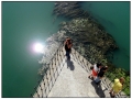 Pont d'Avignon