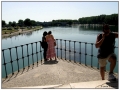Pont d'Avignon