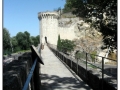 Pont d'Avignon
