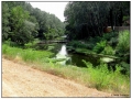Si pedala verso Villeneuve lez Avignon