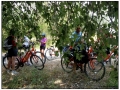 Si pedala verso Villeneuve lez Avignon