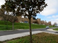 Le mura di Avila