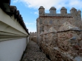 Le Mura e le Torri di Avila