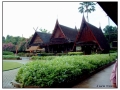 DSCF0256