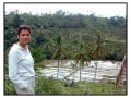 Rice Terraces Singaraja