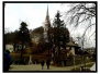 Bled