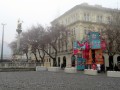 IMG_9861