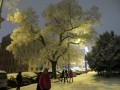 Bratislava