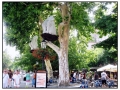 Bratislava, Slovacchia
