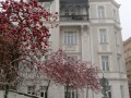 Brno 