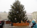 Brno