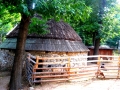 Bucarest - National Village Museum "Dimitrie Gusti"