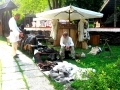 Bucarest - National Village Museum "Dimitrie Gusti"