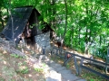 Bucarest - National Village Museum "Dimitrie Gusti"