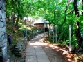 Bucarest - National Village Museum "Dimitrie Gusti"