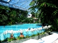Balotesti - Therme Bucharest
