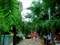 Balotesti - Therme Bucharest