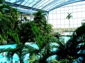 Balotesti - Therme Bucharest