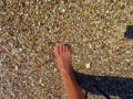 Numana, spiaggia del Frate, Conero