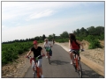 Si pedala verso Chateauneuf du Pape
