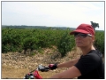 Si pedala verso Chateauneuf du Pape