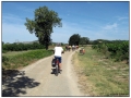 ... verso Pont du Gard