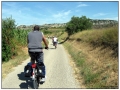 ... verso Pont du Gard