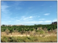 ... verso Pont du Gard