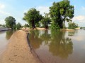 Gita in kayak sul Mekong per avvistare i delfini neri dell’Irrawaddy, Kratie