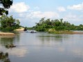 Gita in kayak sul Mekong per avvistare i delfini neri dell’Irrawaddy, Kratie