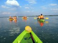 Gita in kayak sul Mekong per avvistare i delfini neri dell’Irrawaddy, Kratie