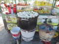 Il Balut, uovo bollito di solito di anatra