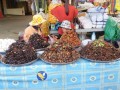 Le tarantole fritte, Skoun
