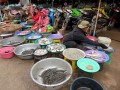 Un mercato cambogiano, Siem Reap