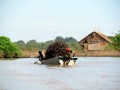 Kampong Phluk, villaggio galleggiante, Siem Reap 