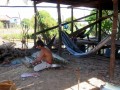 IMG_8548