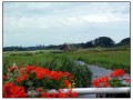 Olanda in bici rotta Sud