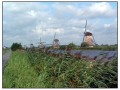 Olanda in bici rotta Sud