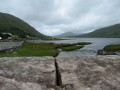 Connemara
