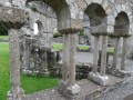 Abbazia di Mellifont